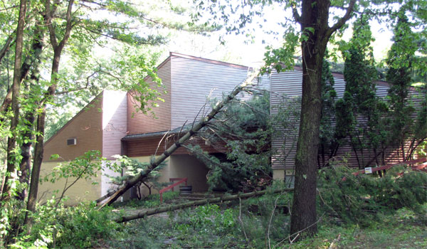 Storm damage at Gaŗezers